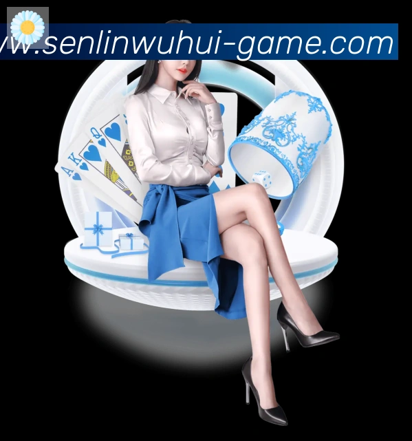互动解说服务